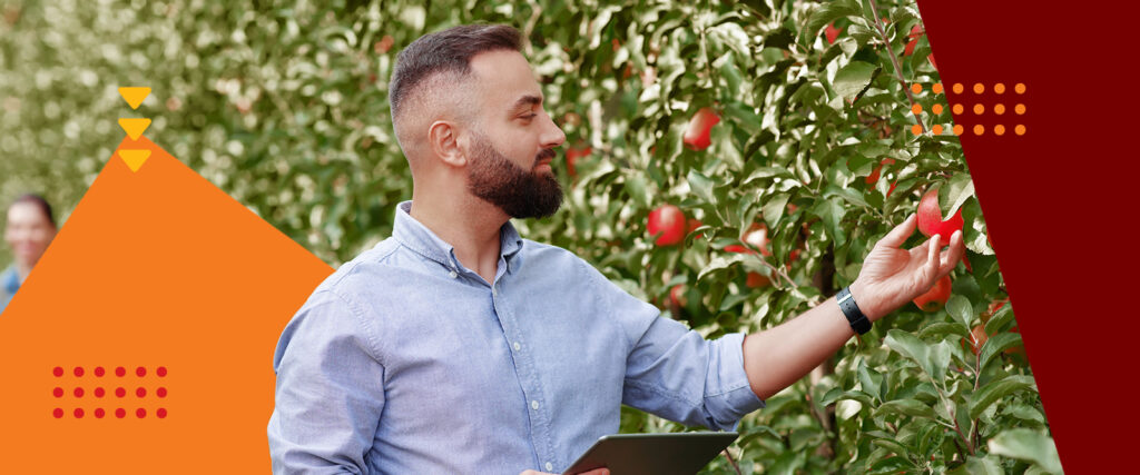 direito do agronegócio - imagem homem pegando uma fruta vermelha