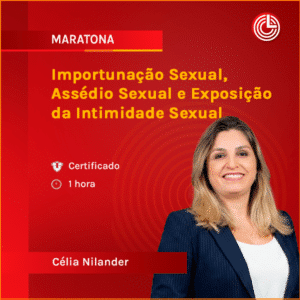 Importunação Sexual, Assédio Sexual e Exposição da Intimidade Sexual