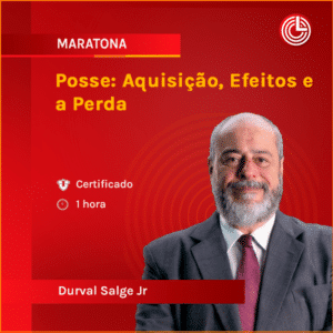 Posse: Aquisição, Efeitos e a Perda