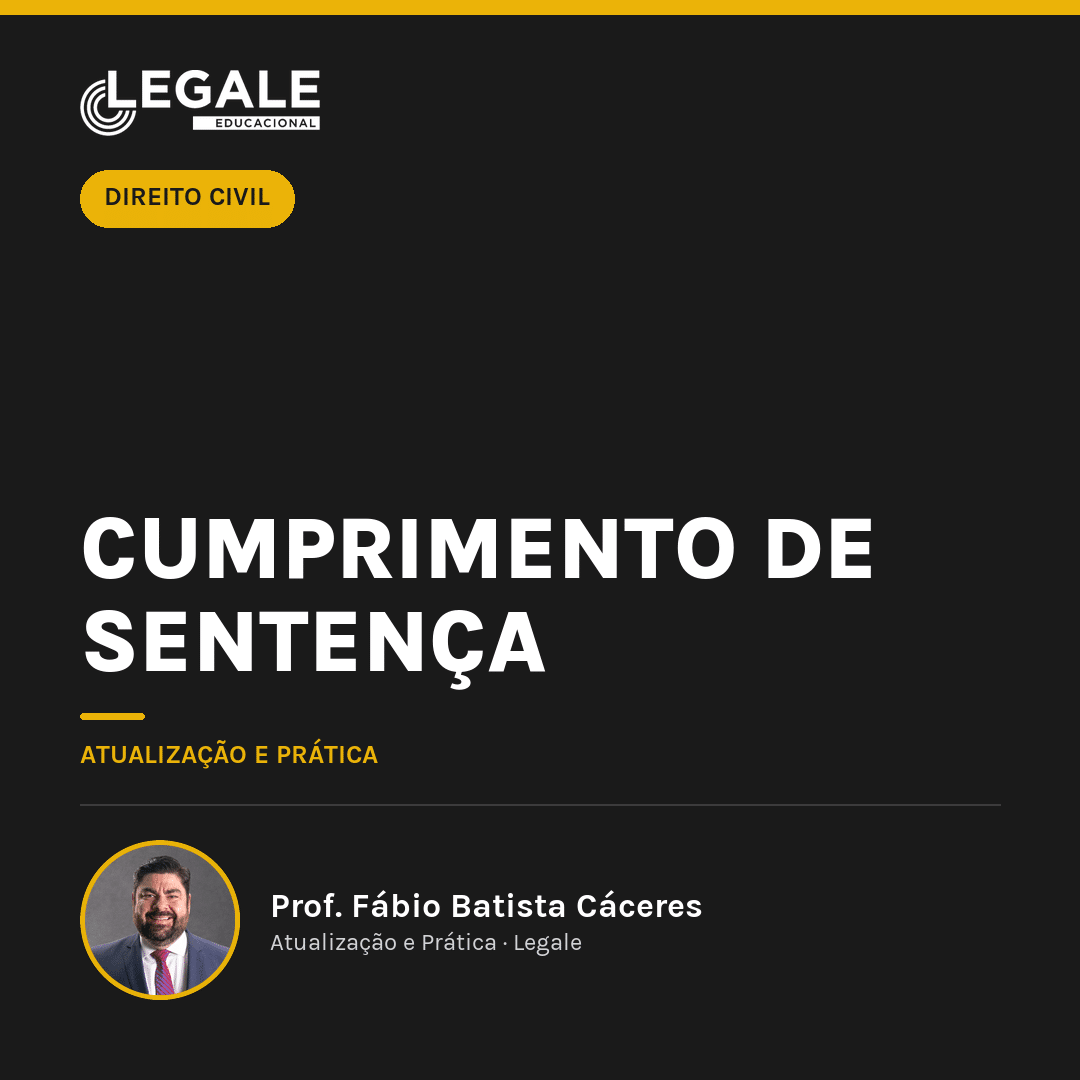 Cumprimento de Sentença - Funny Chicken Leg Socks review and price