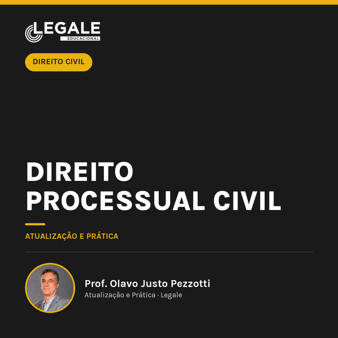 Direito Processual Civil - Funny Chicken Leg Socks review and price