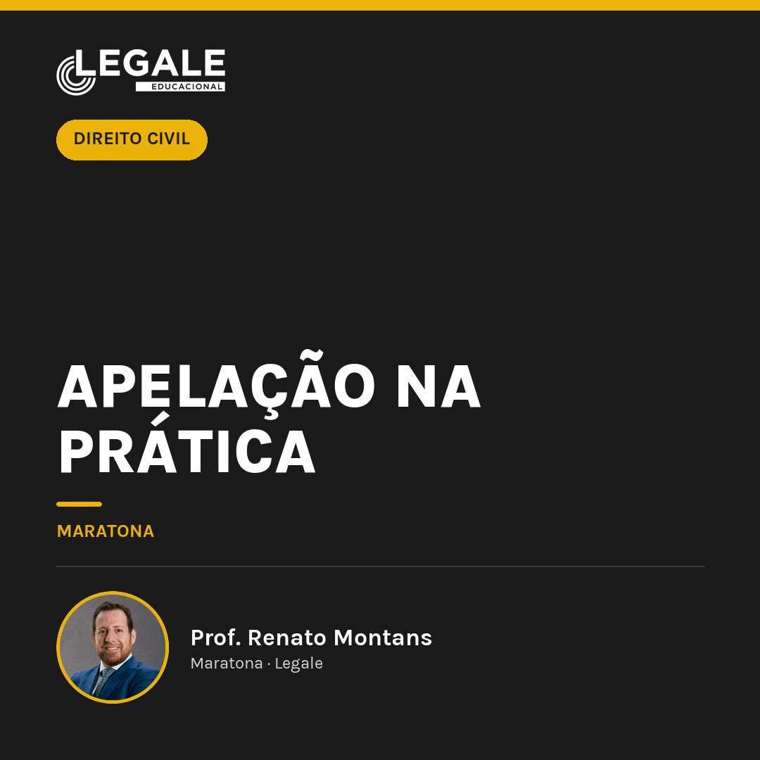Apelação na Prática - Funny Chicken Leg Socks review and price