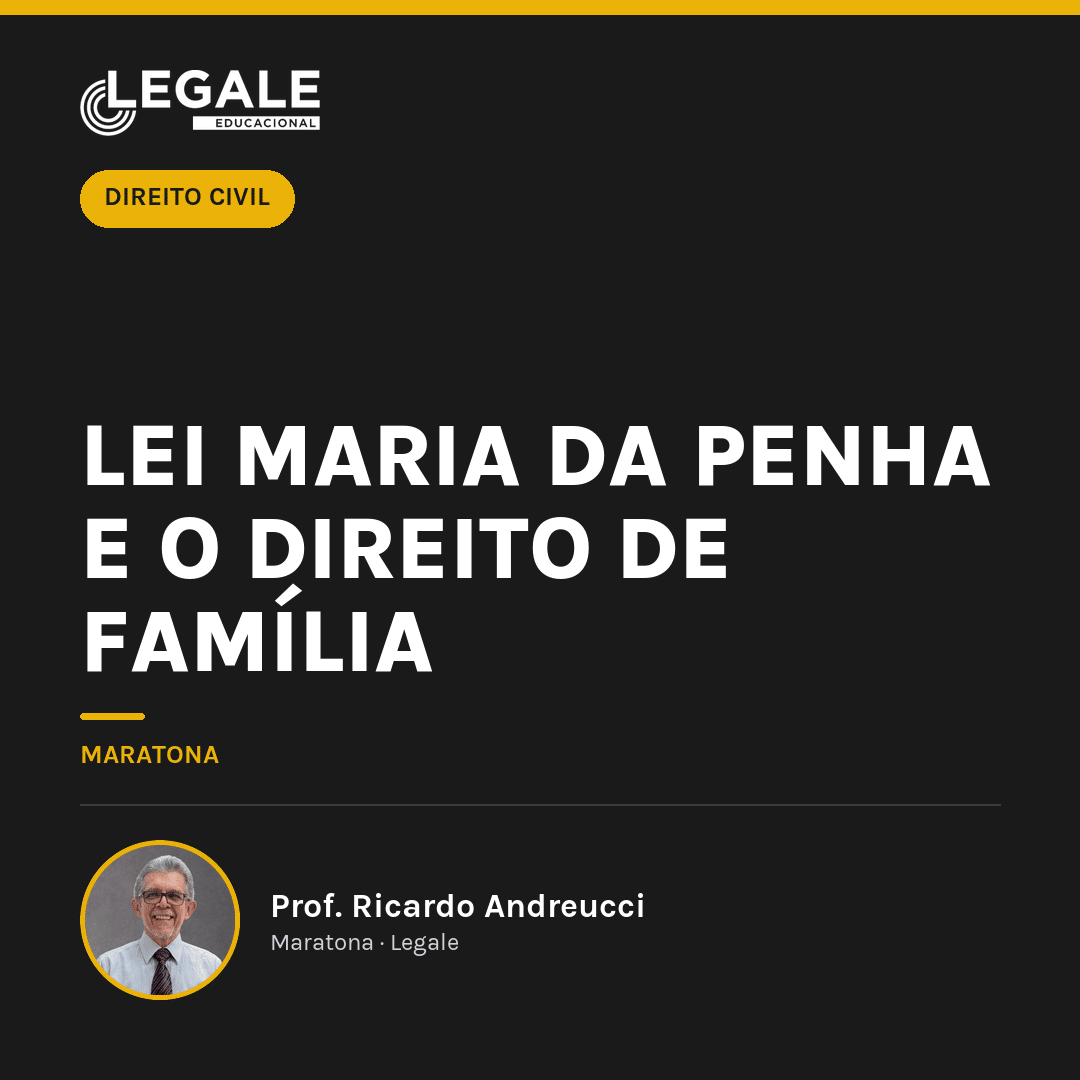 Lei Maria da Penha e o Direito - Funny Chicken Leg Socks review and price
