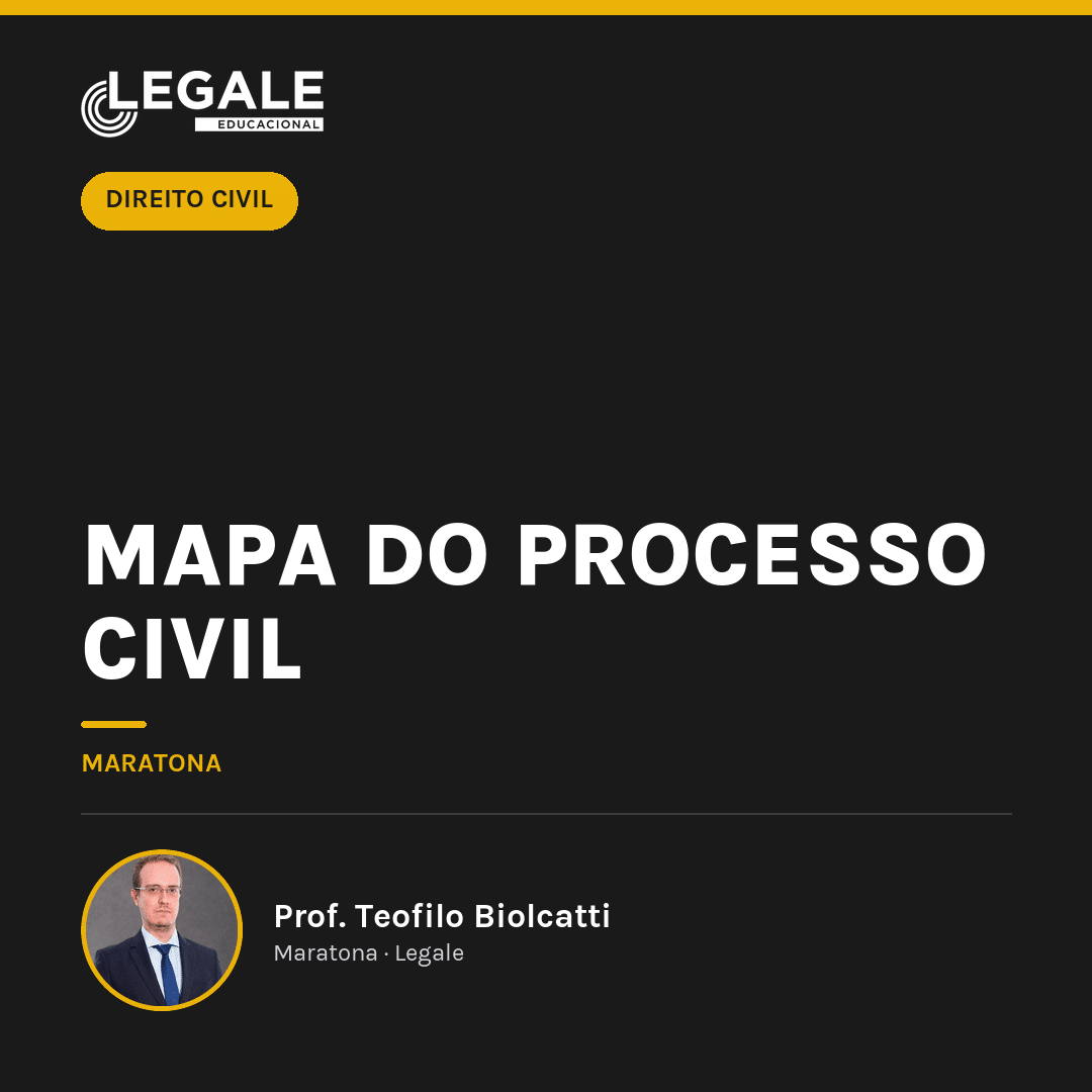 Mapa do Processo Civil - Funny Chicken Leg Socks review and price
