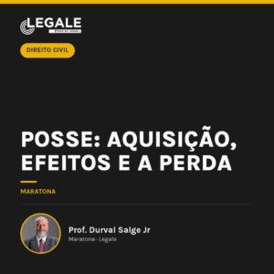 Posse: Aquisição, Efeitos e a Perda