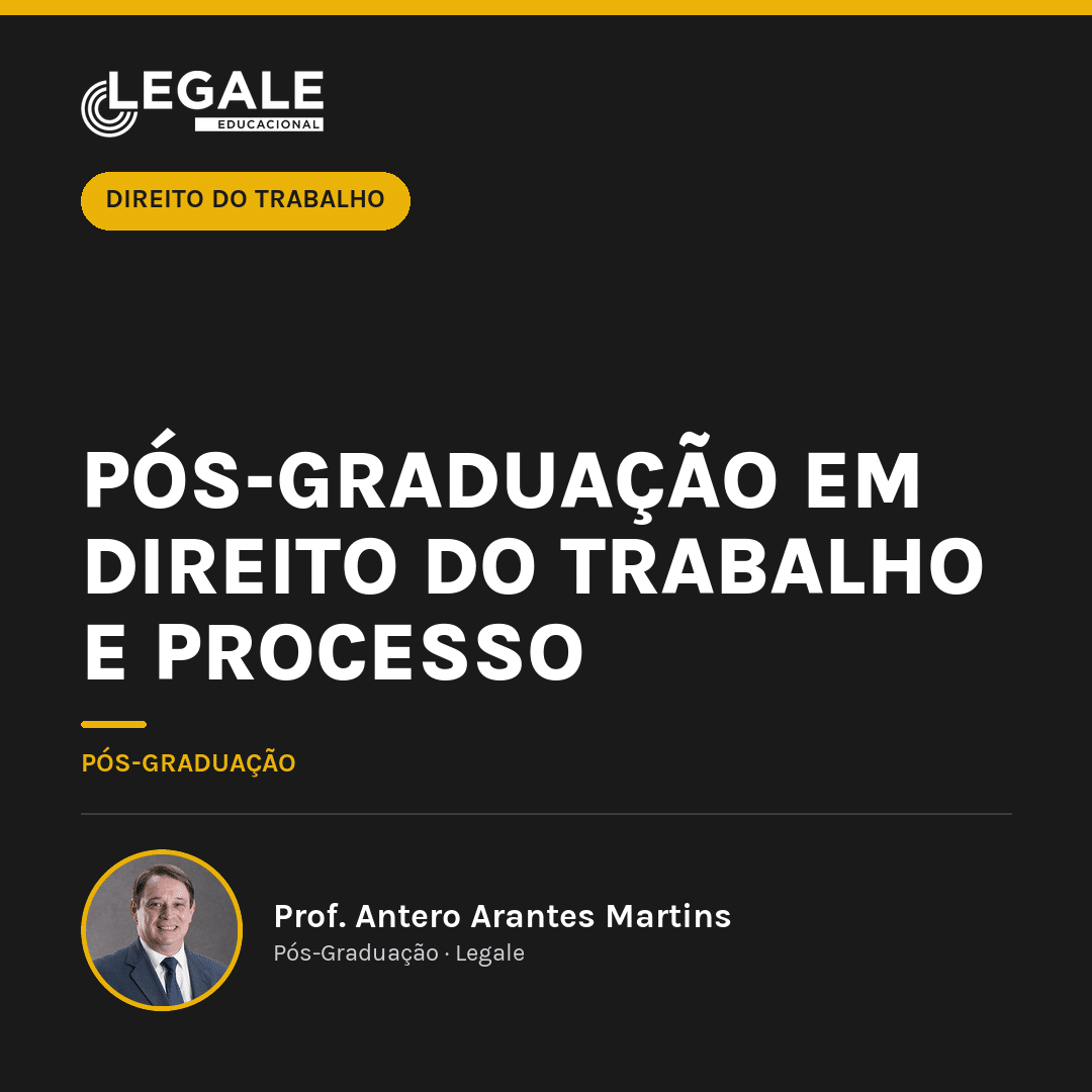 Pós-graduação em Direito do Tr - Funny Chicken Leg Socks review and price