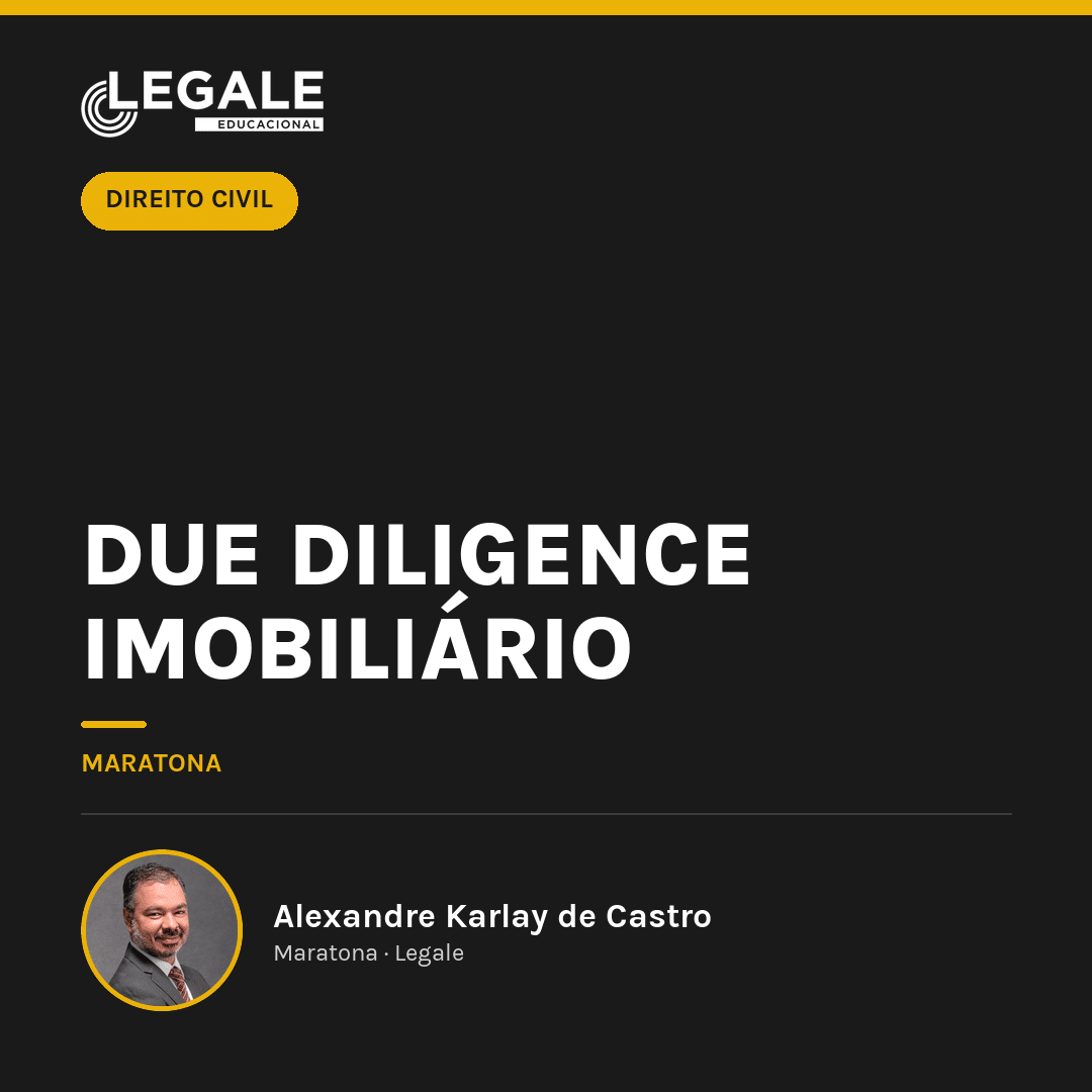 Due Diligence Imobiliário - Funny Chicken Leg Socks review and price